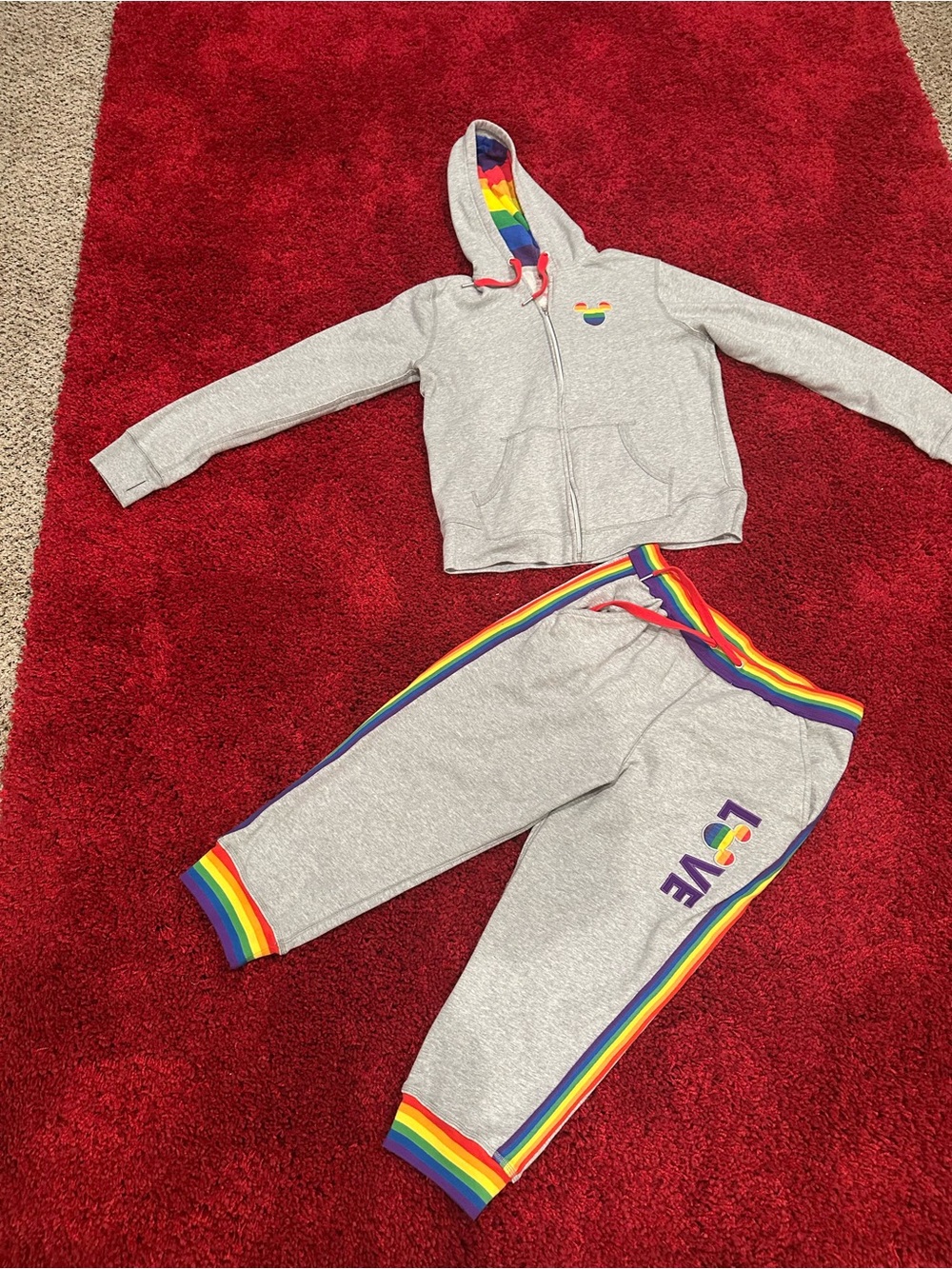 Disney 2021 PRIDE sweatsuit💜